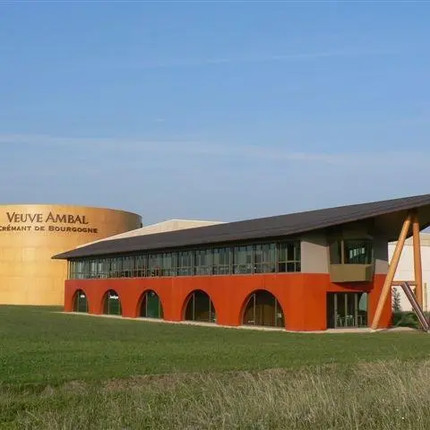 Veuve Ambal, Burgundia, fő fajtájuk a Chardonnay